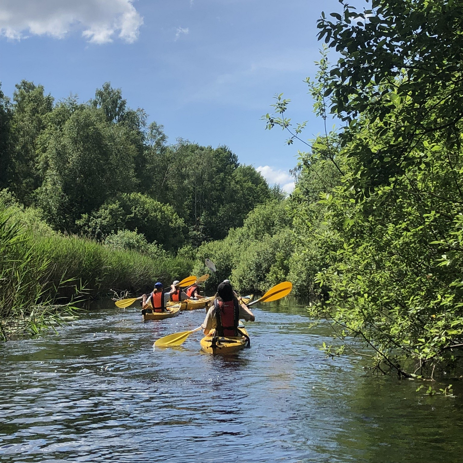 Canoeing Småland