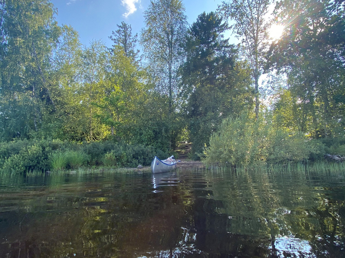 canoe in forest square