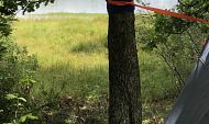 Tree Tent with lake view