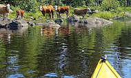 Kayaking adventure Single kayak Expedition