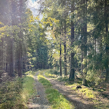 Elmerajden - Älmhults Annual Gravel Event Elmerajden - 160km rajd 09:00