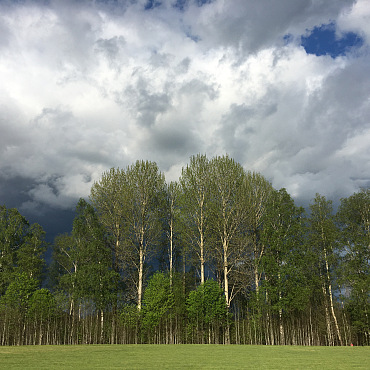 Hiking Hörsnäsamossen – Wild Wetlands Walk Outdoor Skills Mini-Workshop