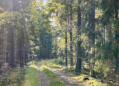 Elmerajden - Älmhults Annual Gravel Event