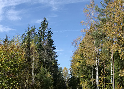 Bike Adventure - Discover Smålands landscape