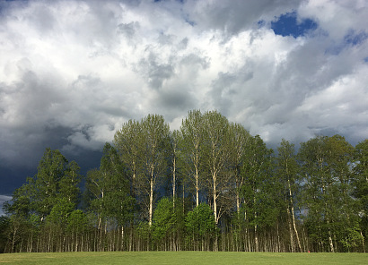 Hiking Hörsnäsamossen – Wild Wetlands Walk