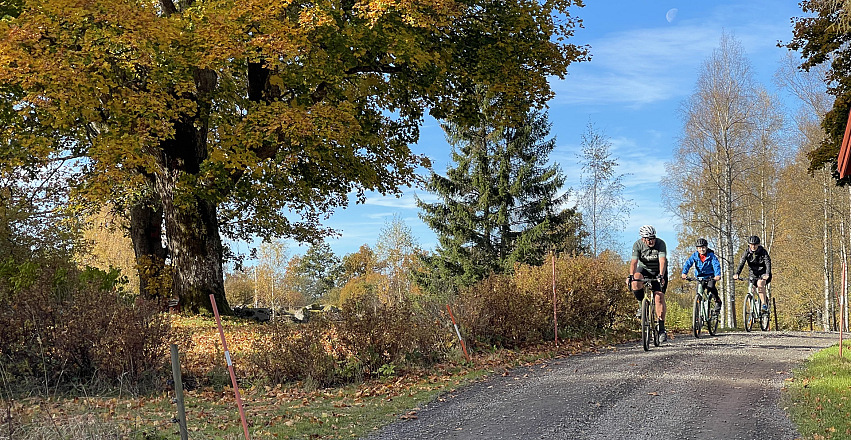 Guided Gravel Day Rides Cycling in the heart of Småland