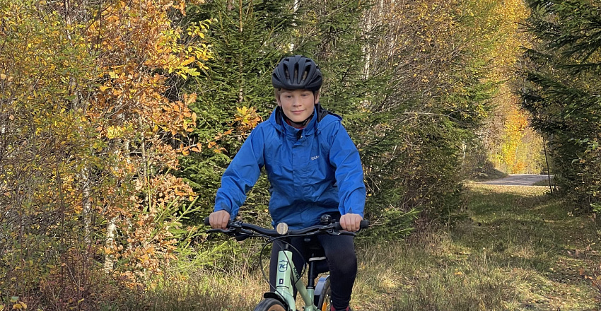 Pedalling through IKEA’s roots Self Guided Cycling Tour