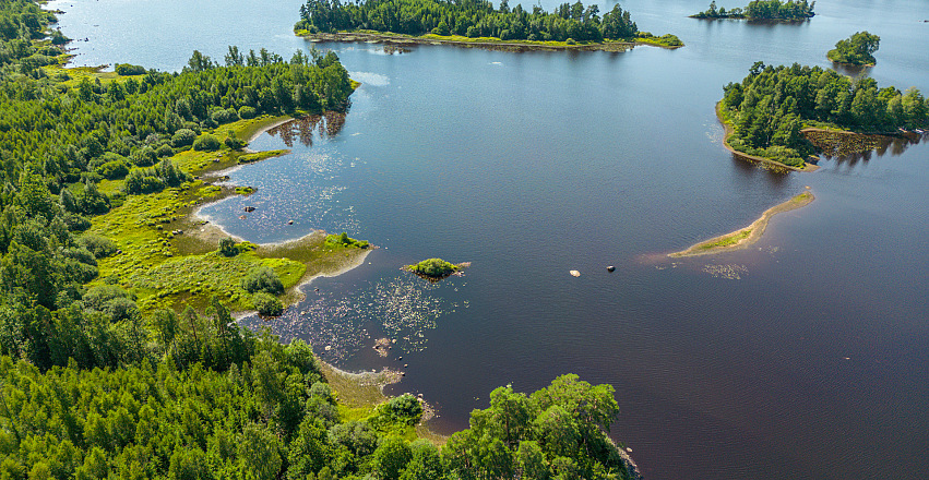 Wild Cooking Guided paddle adventure