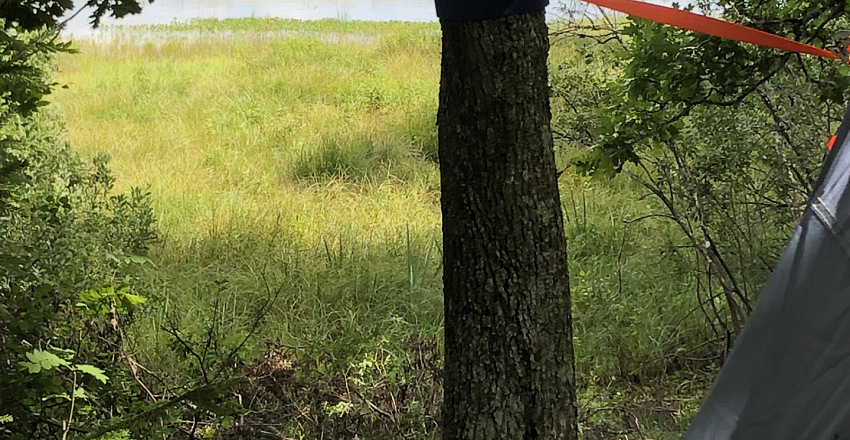 Tree Tent with lake view