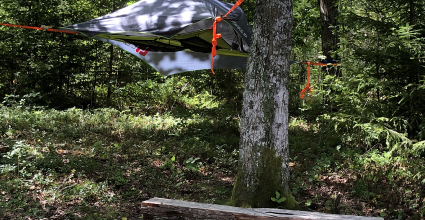 Tree Tent with lake view