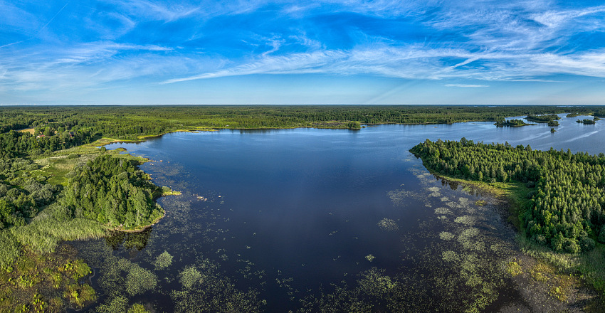 Guided Canoe adventure