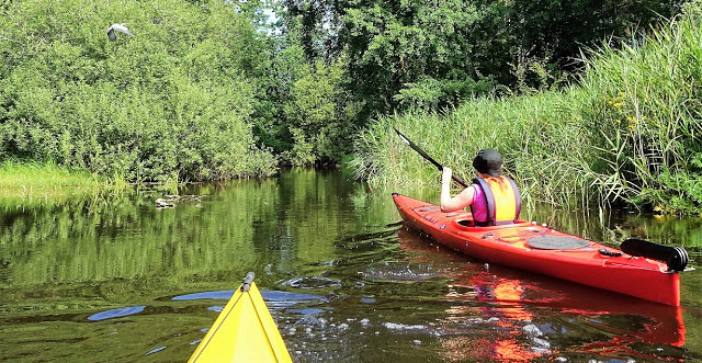 Kayaking adventure Single kayak Expedition