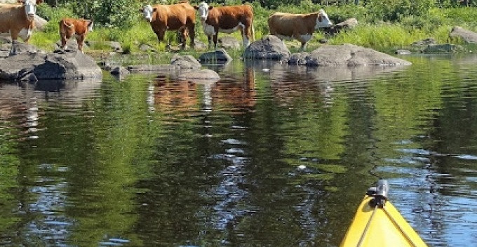 Kayaking adventure Single kayak Expedition