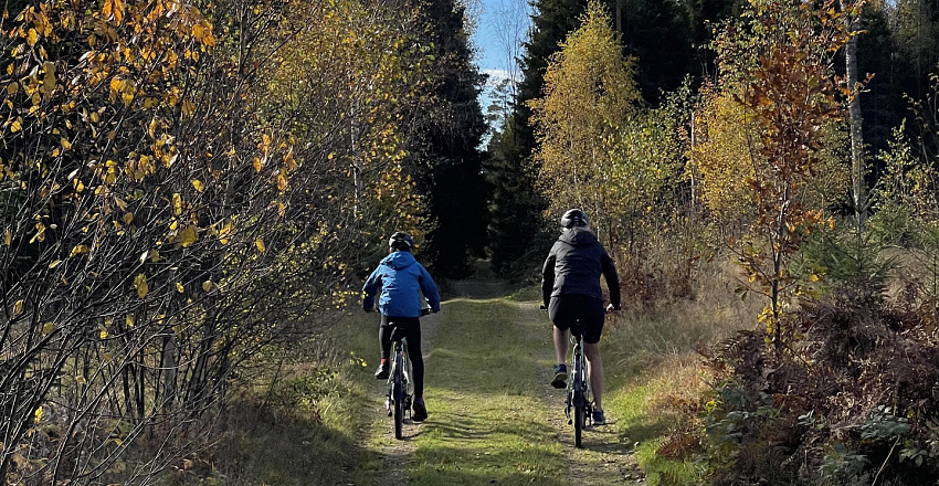 Pedalling through IKEA’s roots Self Guided Cycling tour