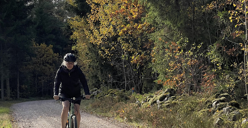 Pedalling through IKEA’s roots Self Guided Cycling tour