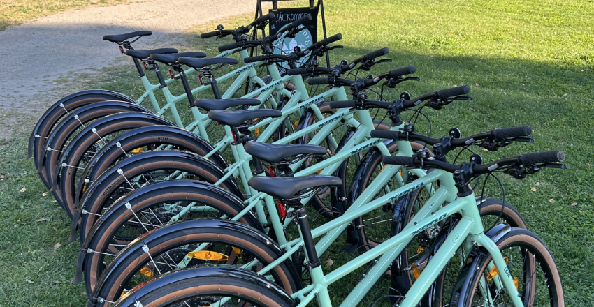 Bike Rental - Self Guided Adventures KONA Dew — premium hybrid bikes