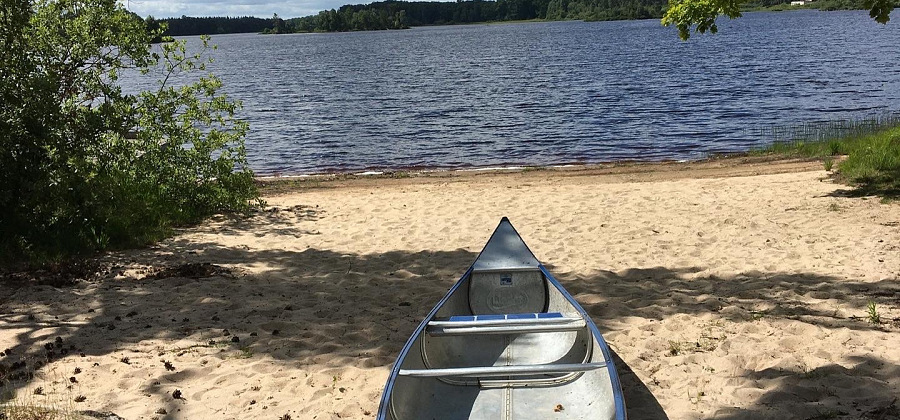 3934a485 d7d2 41ef 9afe a58cee02e9a5 1 